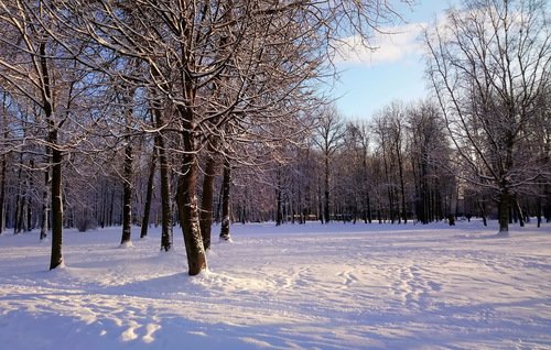 Зимний пейзаж