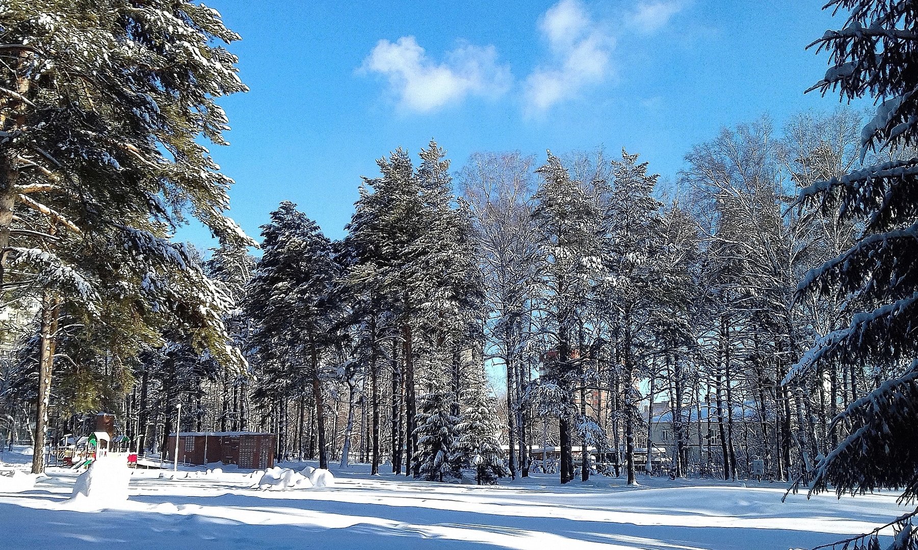 Сосновые парки