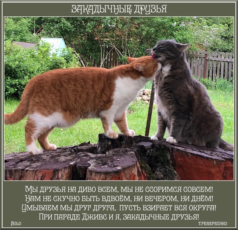 Закадычный Друг