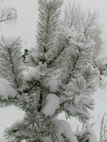 Замело снежком..