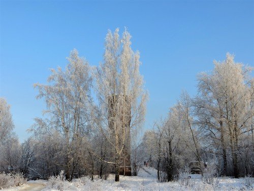 Все бело кругом...