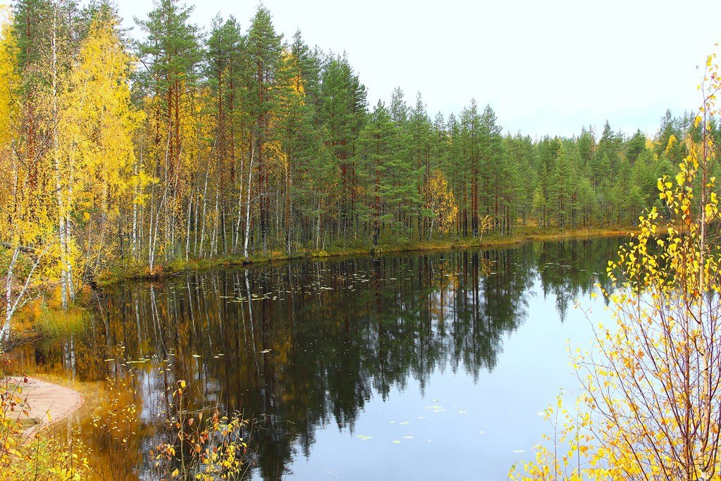 Ламбушки карелии фото