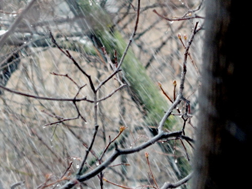 Косой дождь