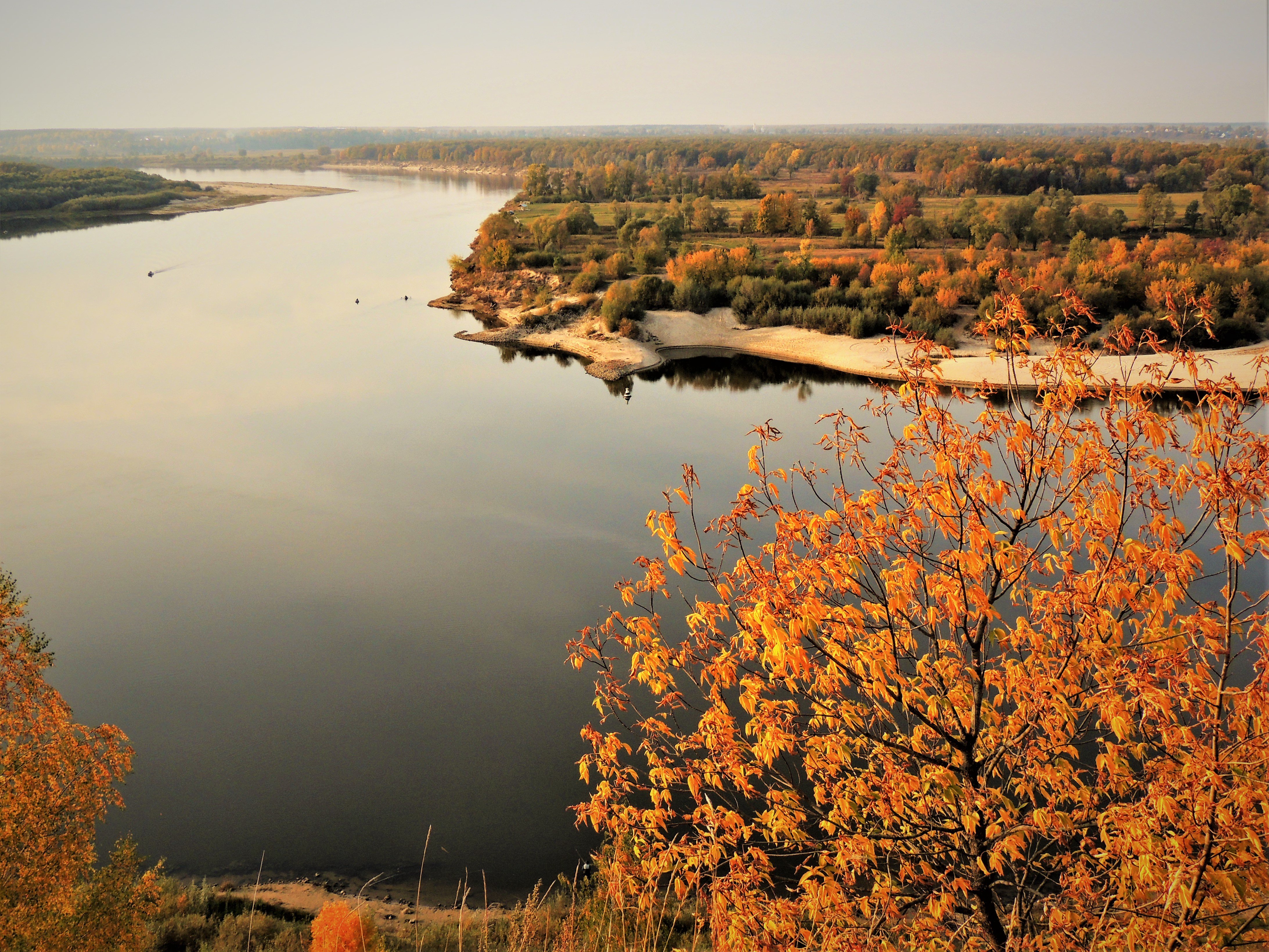 Река Ока Павлово