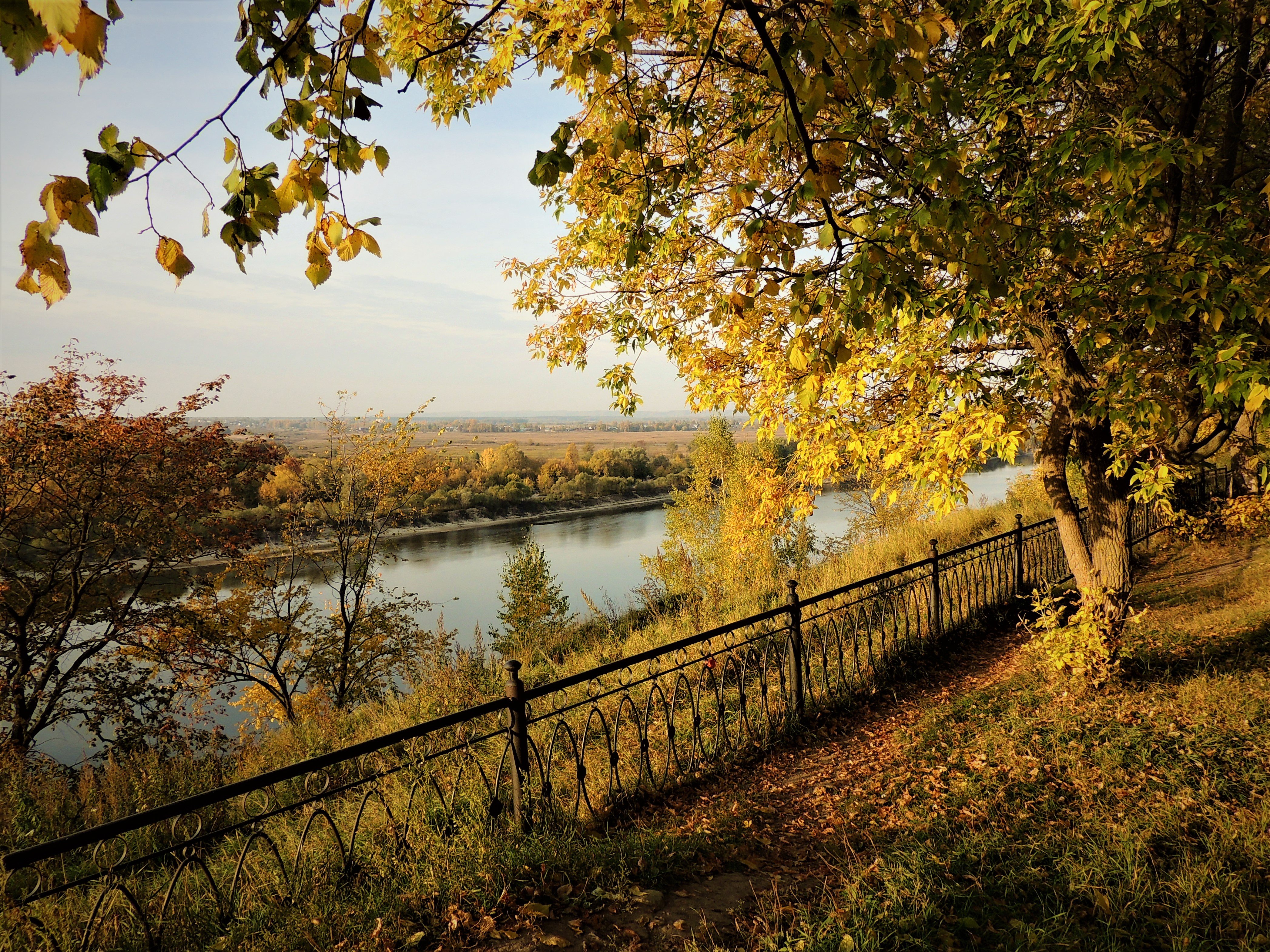 ждановский парк