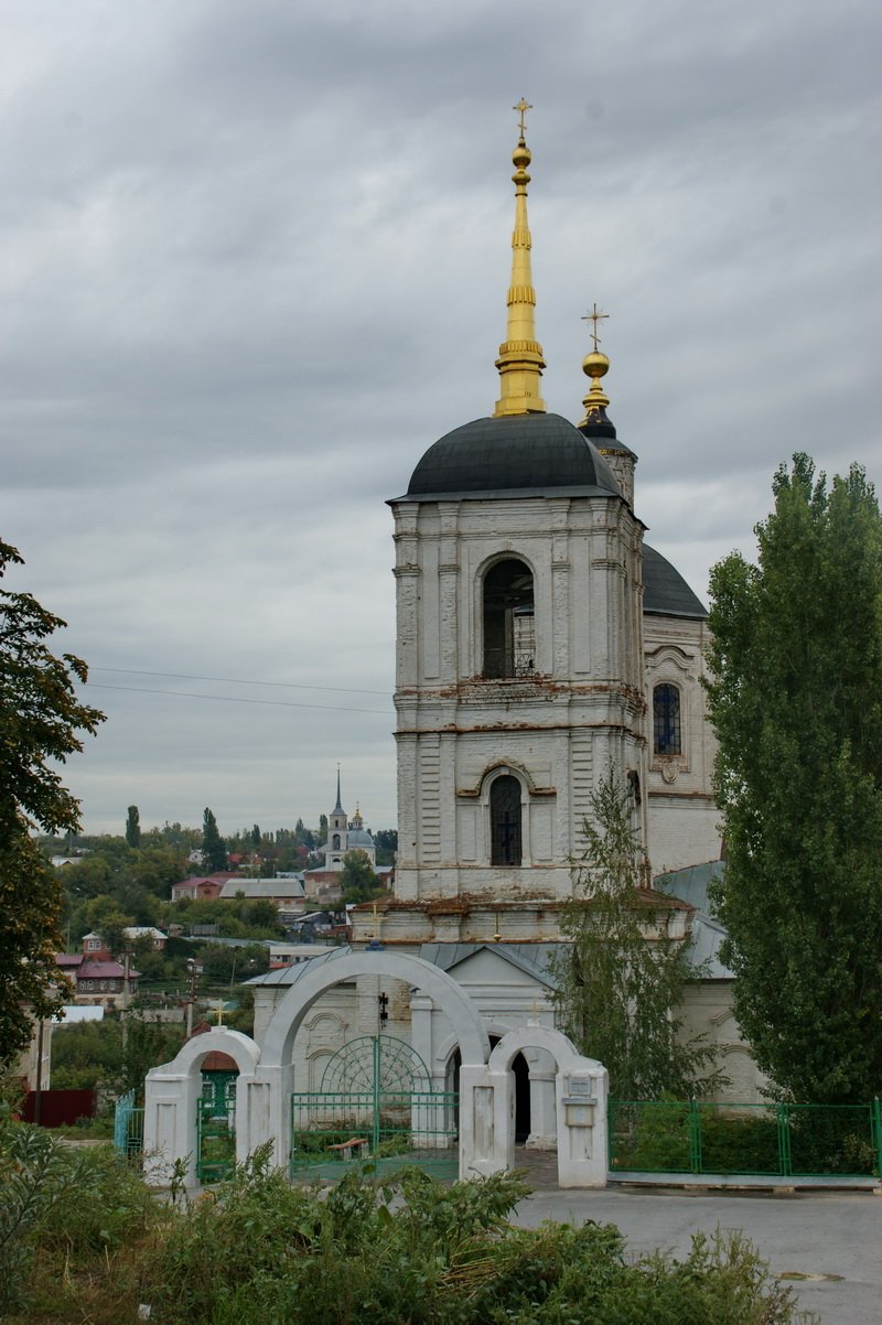 Успения Пресвятой Богородицы Елец храм Церковь