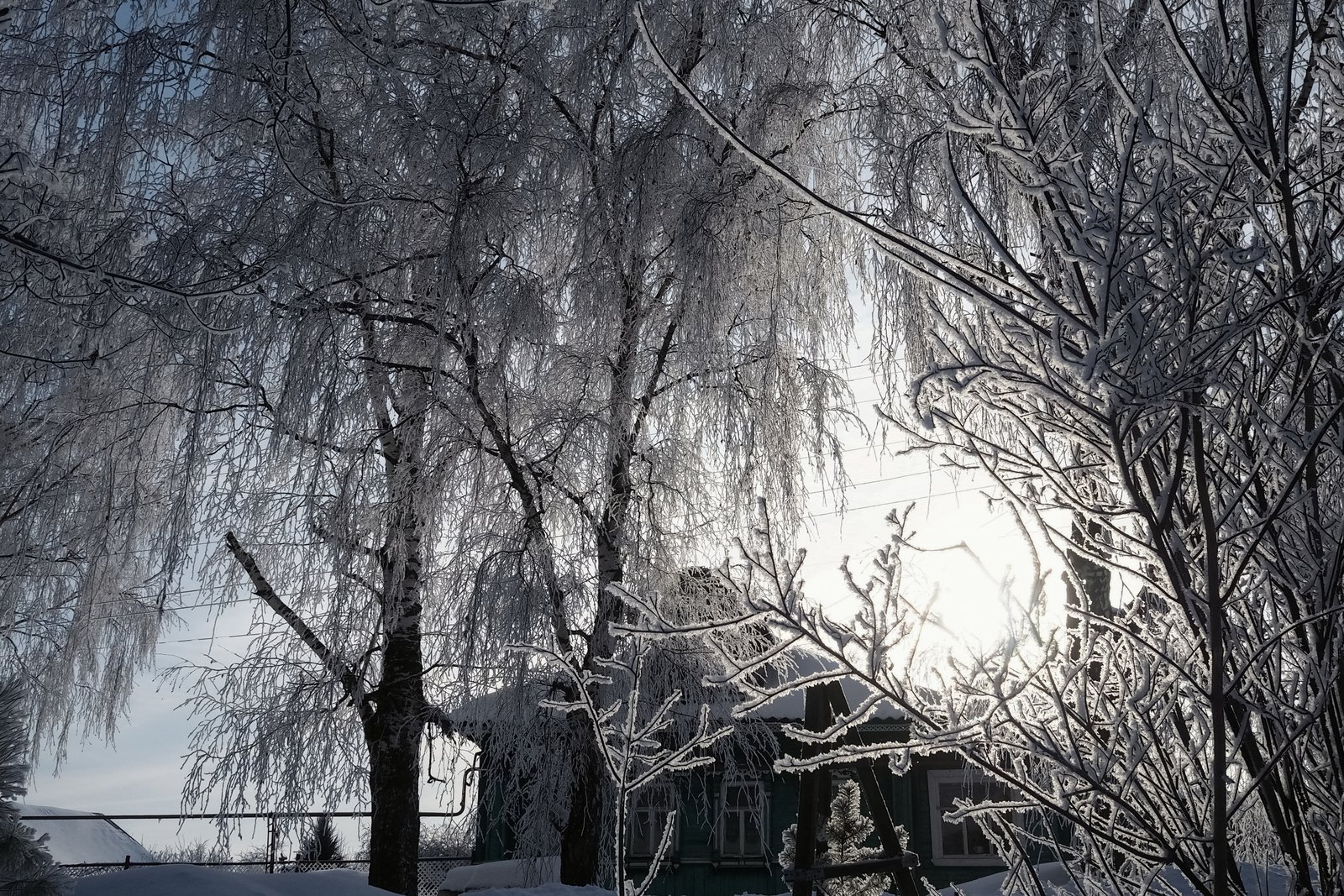 Февраль д. Черно-белое фото зимнее солнце.