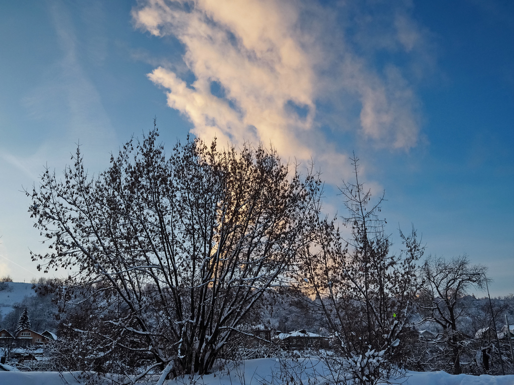 Село декабрь