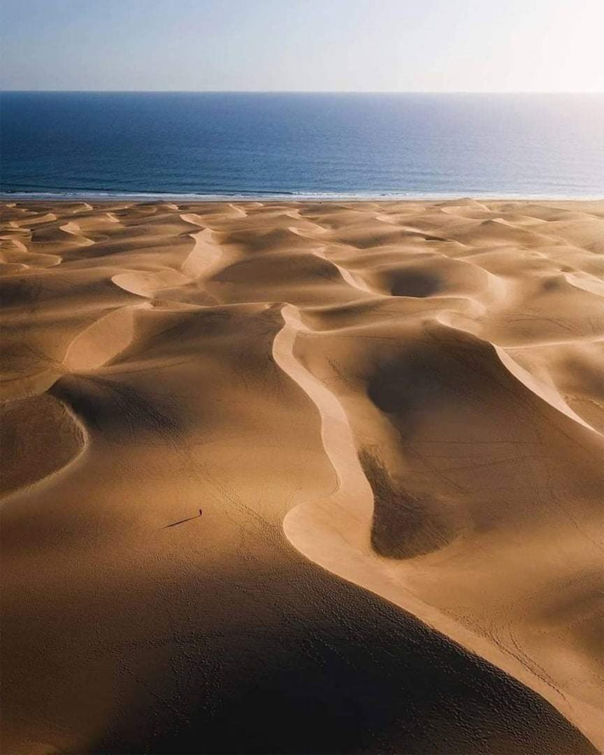 Пустыня Намиб встречается с Атлантическим океаном..jpg
