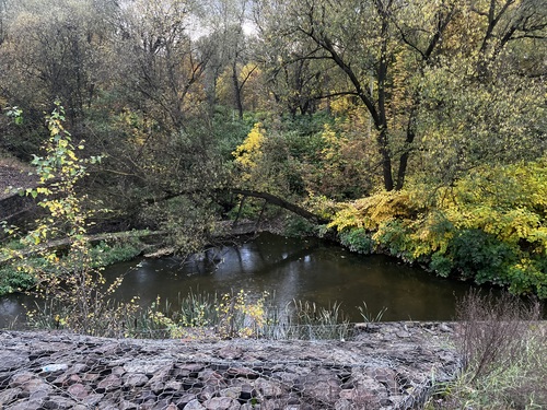 Осень в Подмосковье