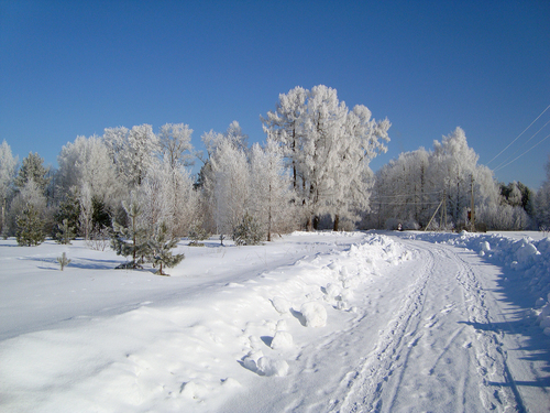 По снежной дороге