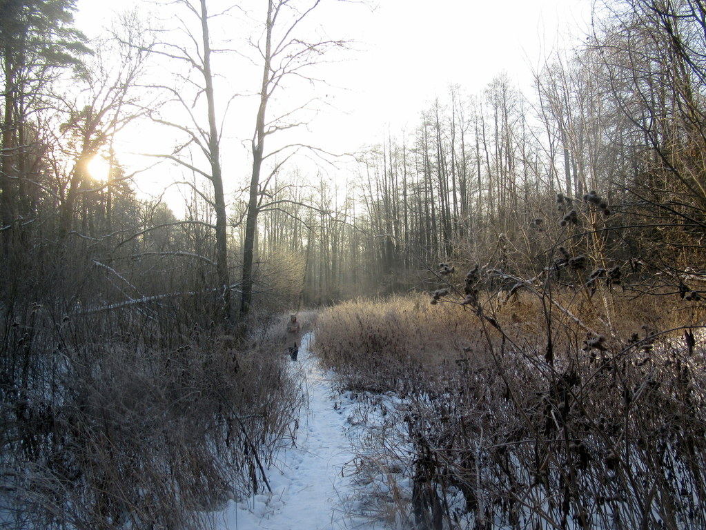 дорога в зиму