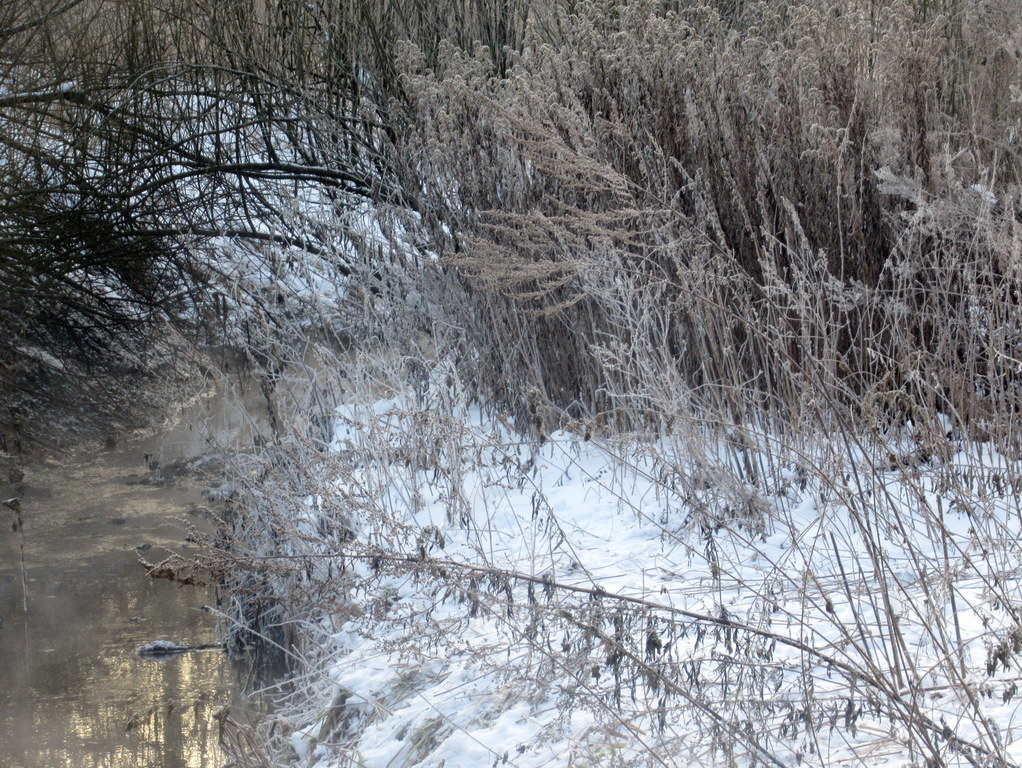 золото в ручье