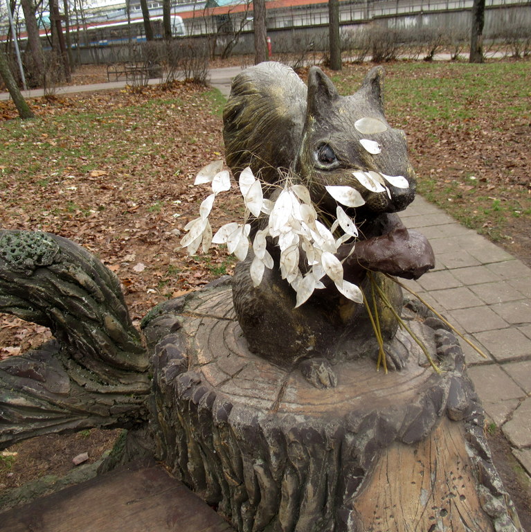 белочка с лунарией