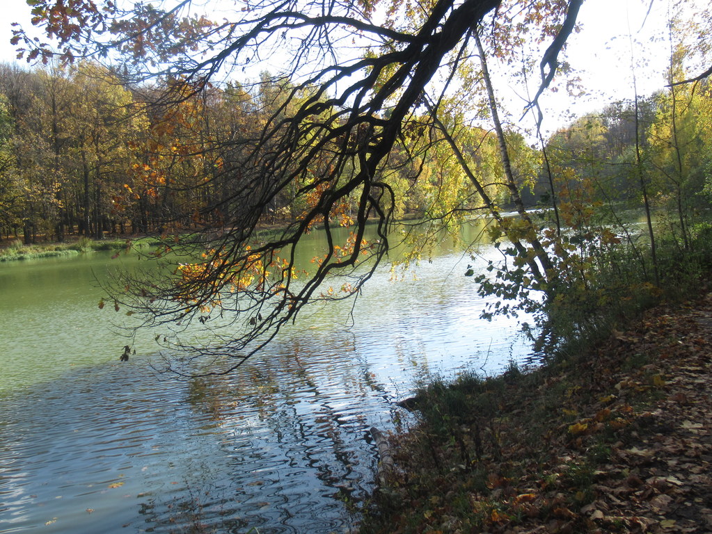 Красный пруд  в золоте осени