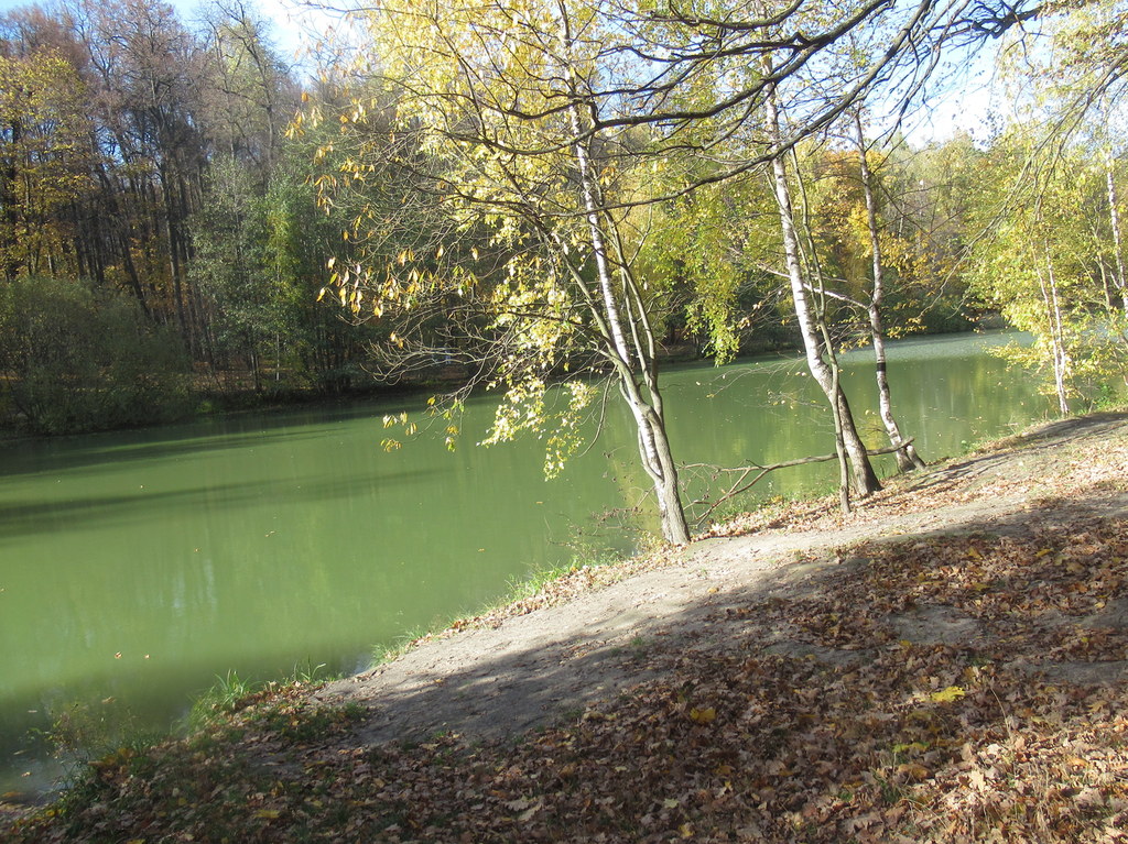 На Красном пруду