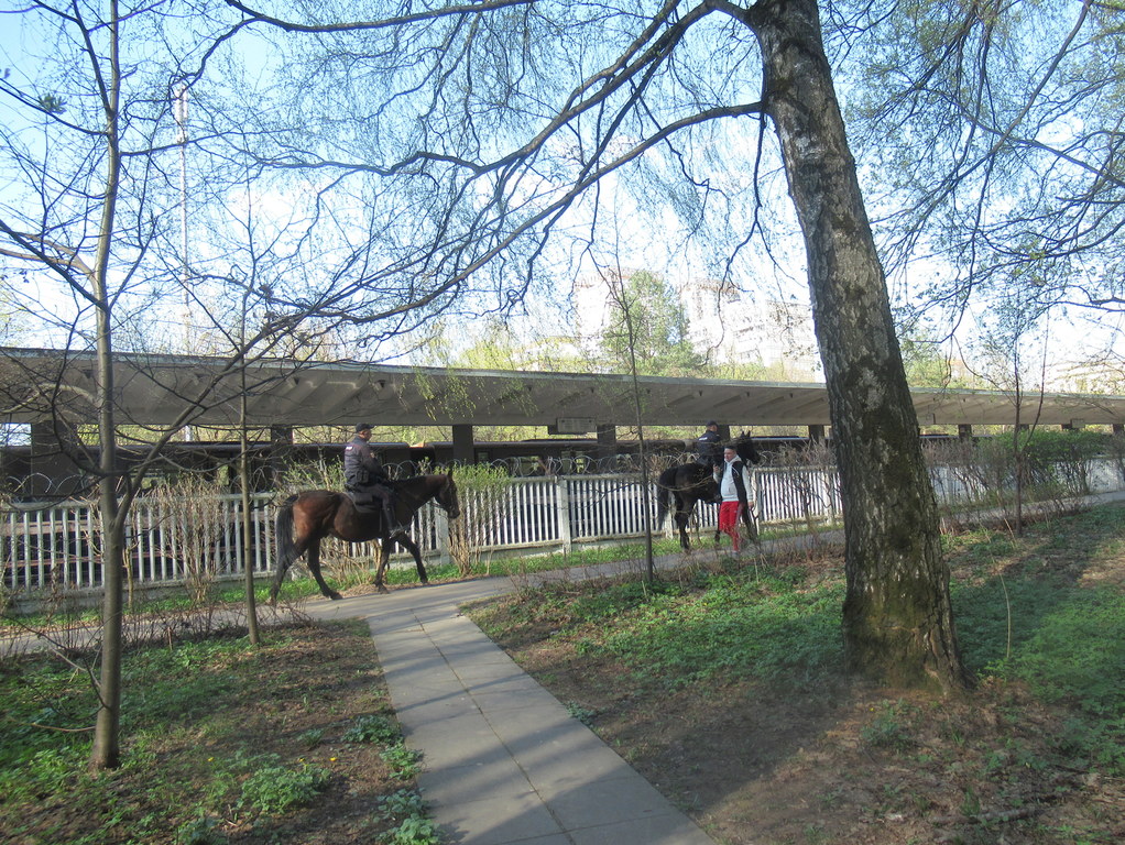 у линии метро