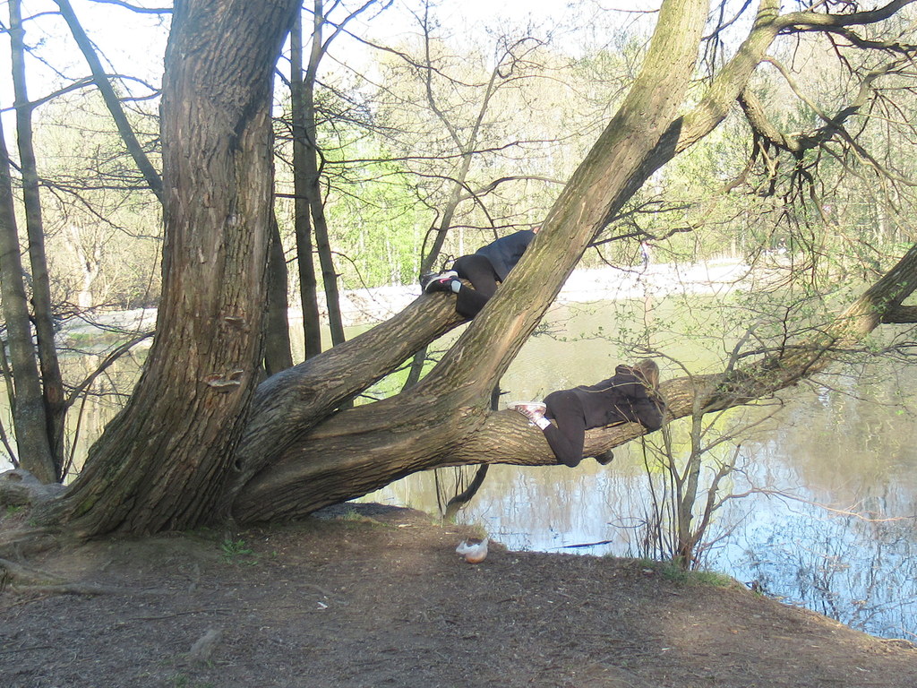 места в партере) 