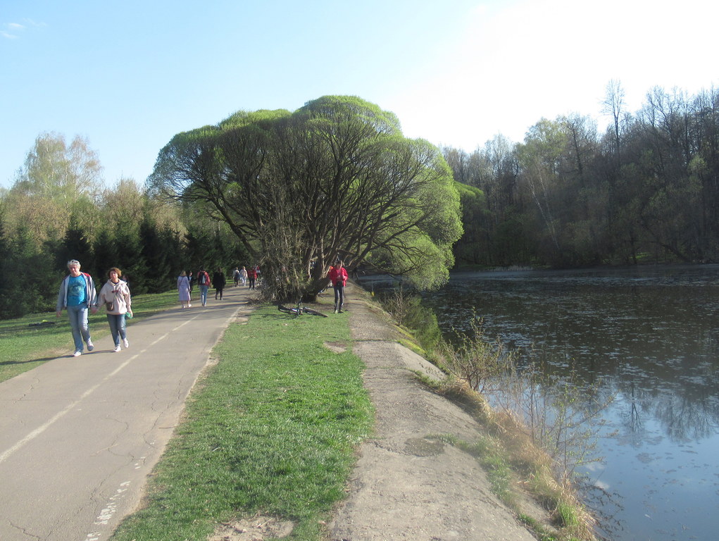 Декоративный пруд