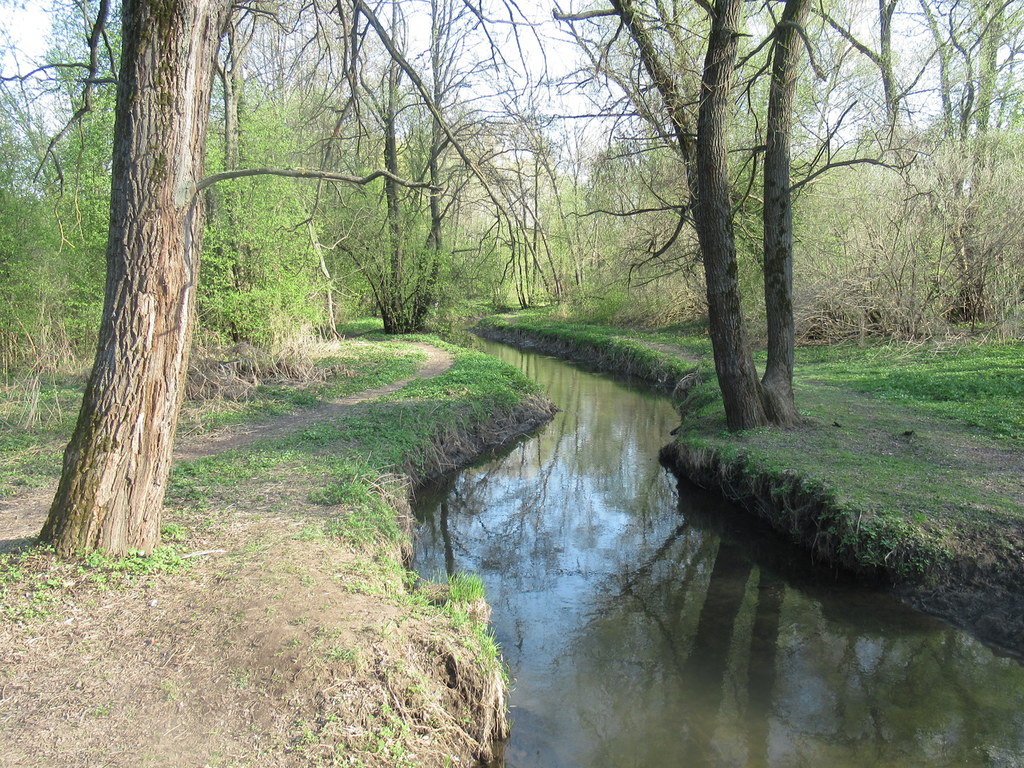 Серебрянка в апреле