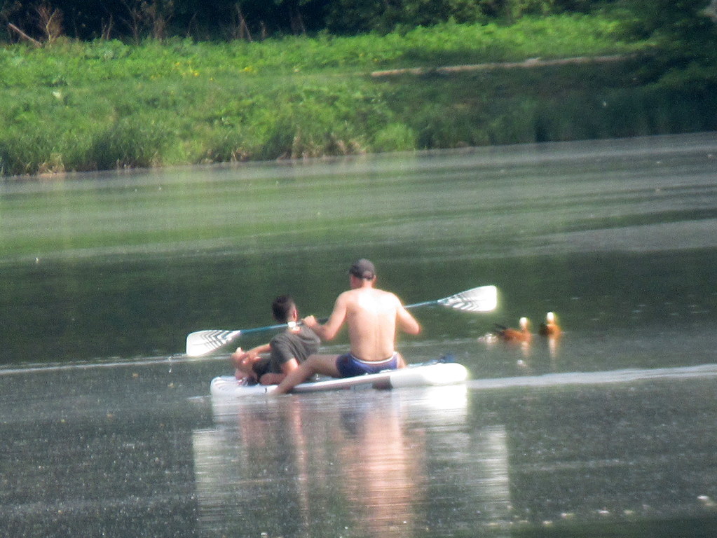 в компании с огарями