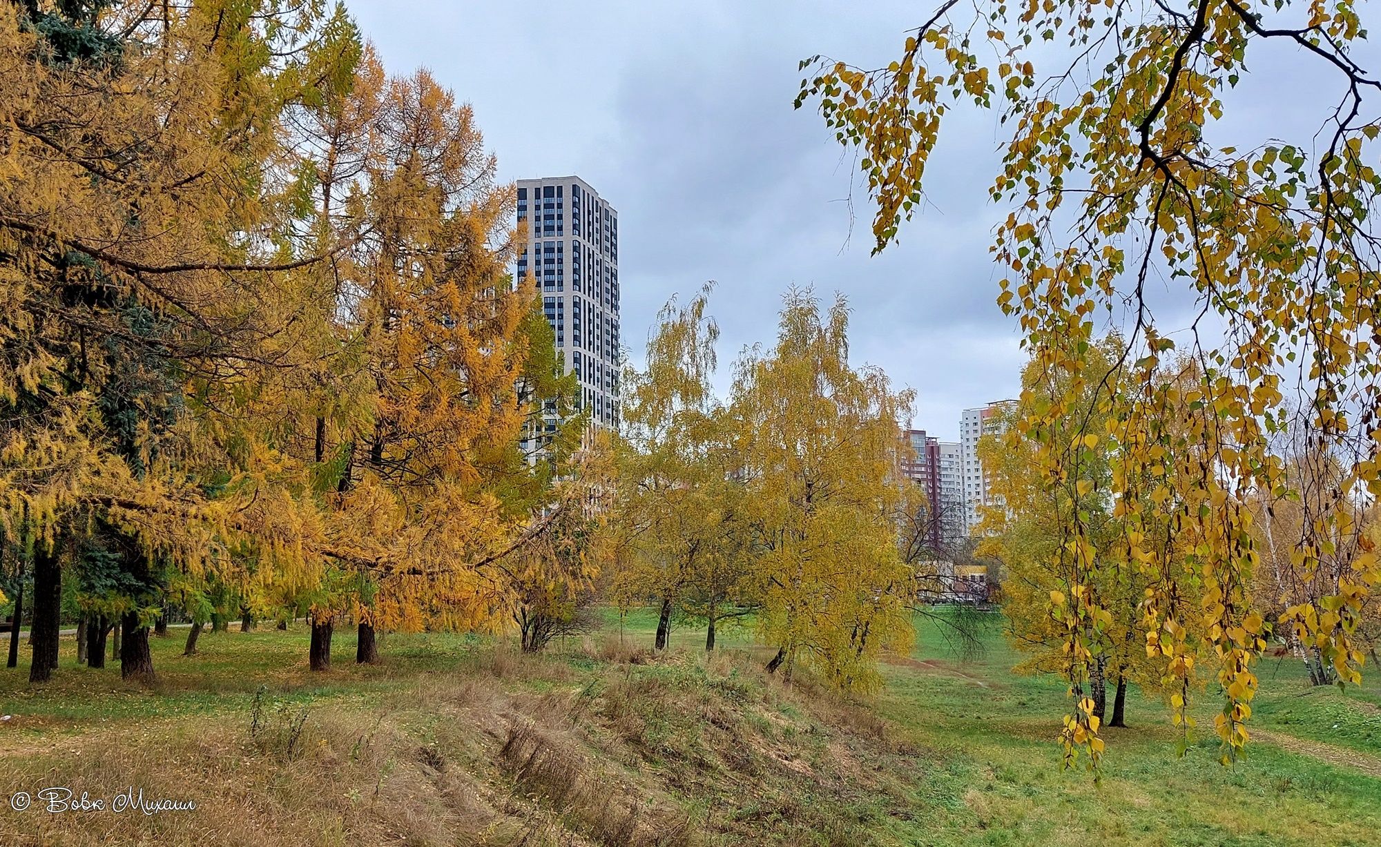 парк 50 летия октября в москве