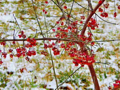 В преддверии Зимы