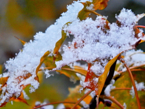 Снег мягкий,пушистый...