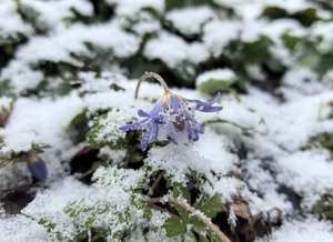 В горах снег припорошил все вокруг