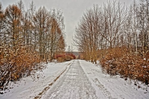 Начало зимы в Царицыне