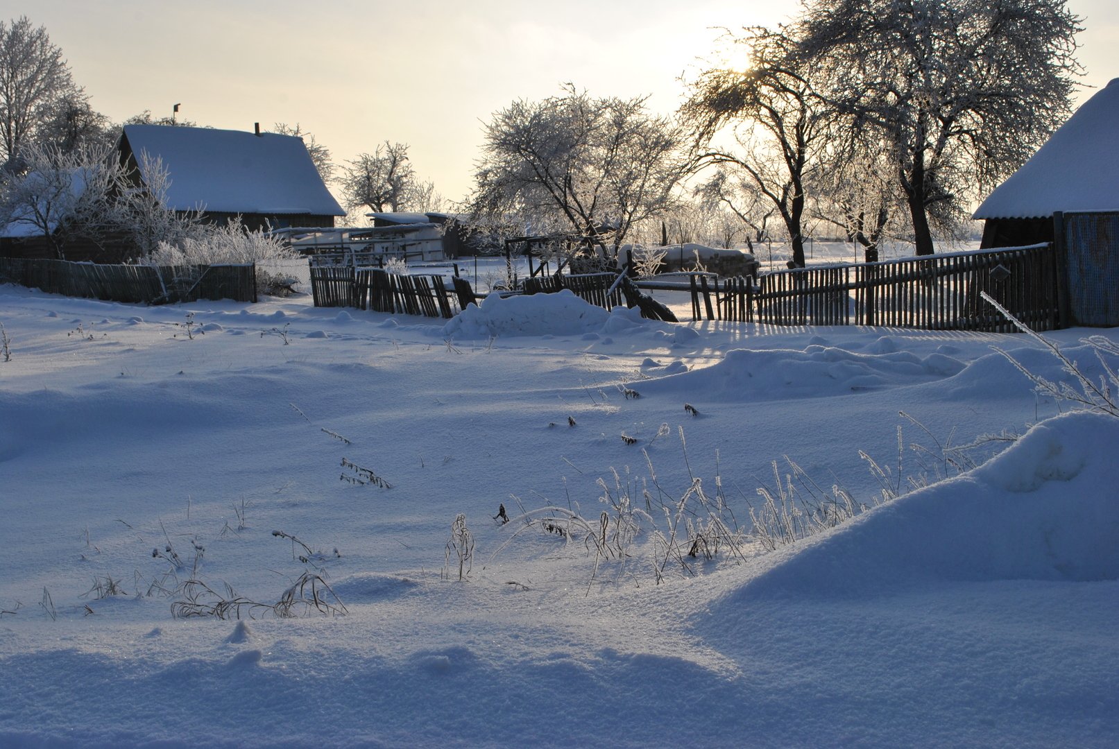 Беларусь деревня Морозы