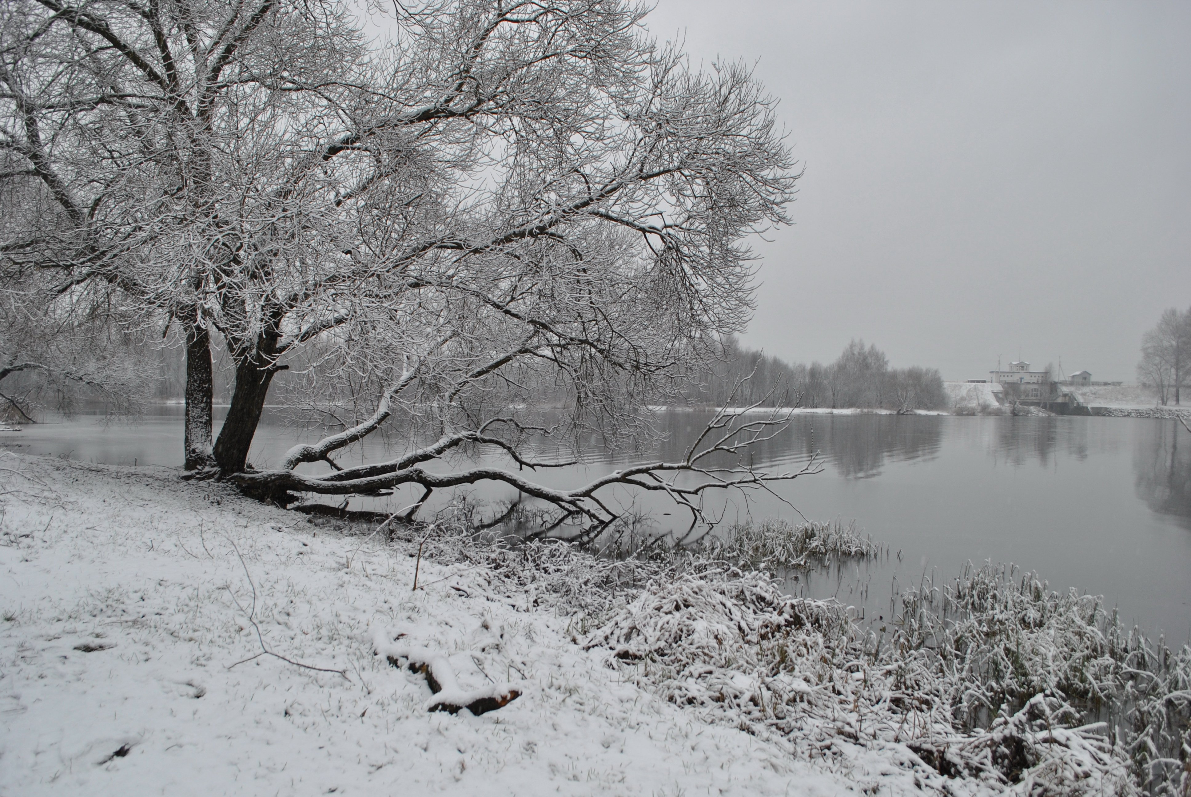 Серый зимний пейзаж. Грустная зима. Февраль грустно. Грустный февраль. Мрачный пейзаж.
