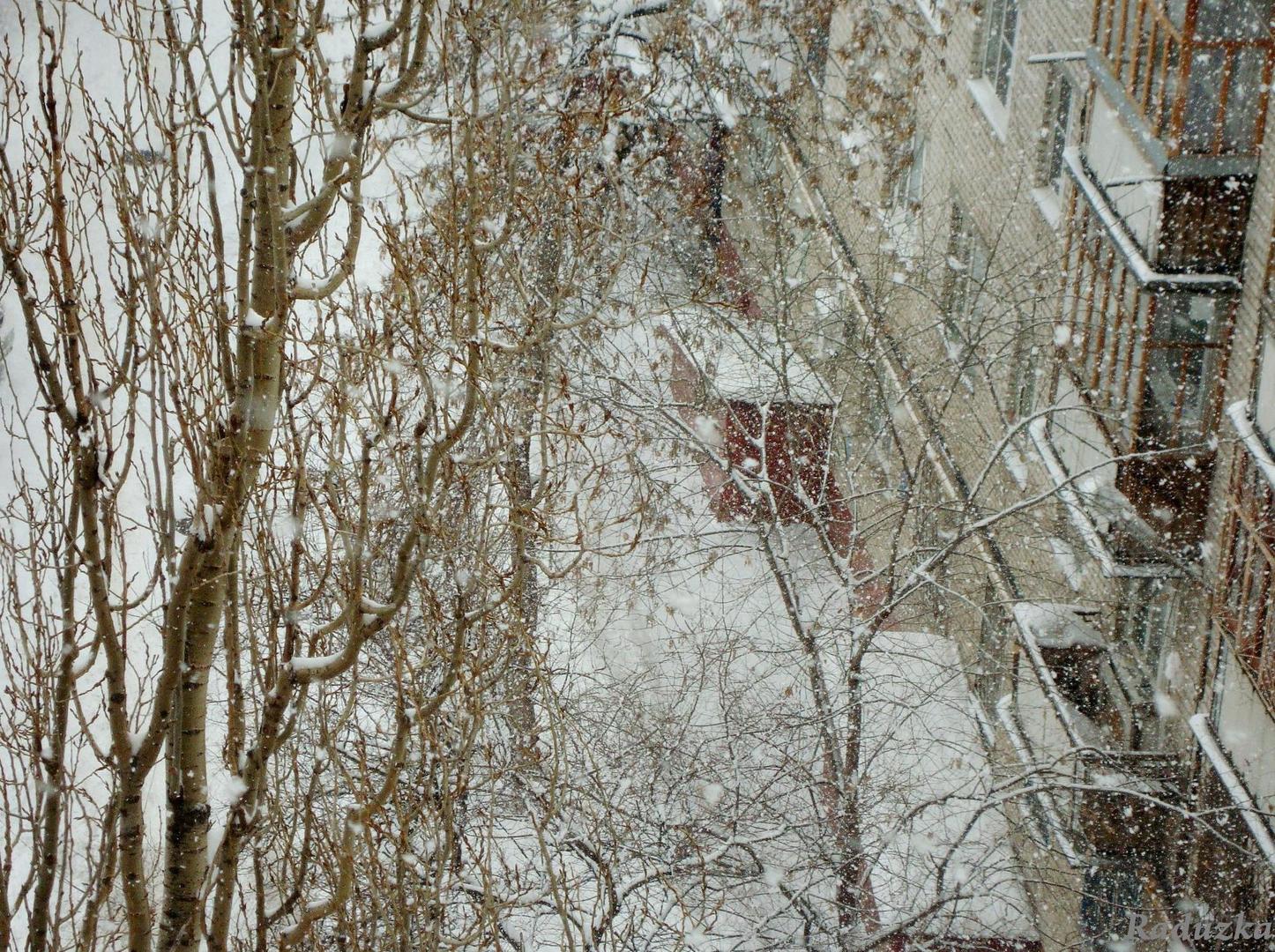 Фото Зимы За Окном