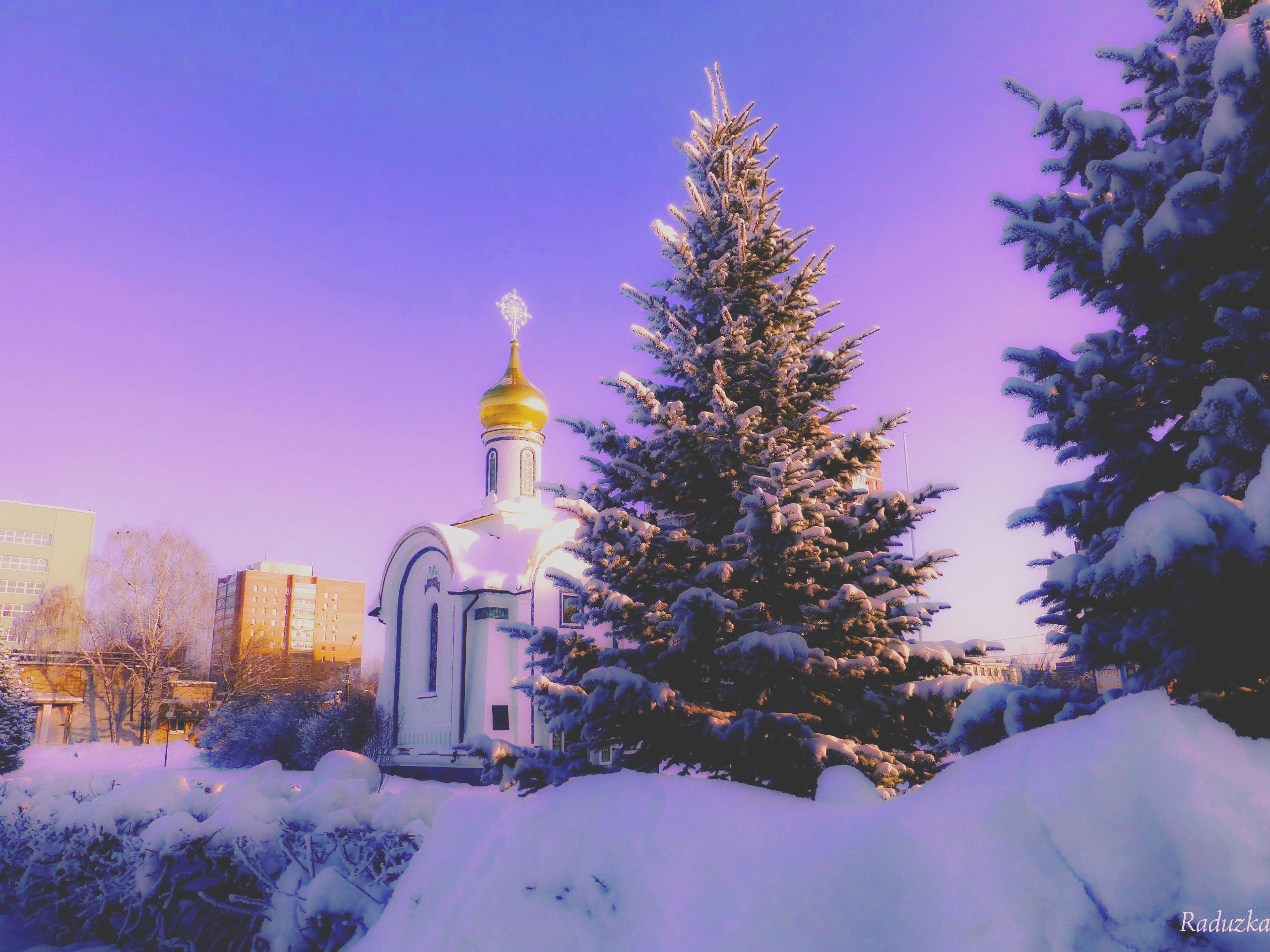 Город ели. Тольятти храм зима. Храмы Тольятти зимой. Самара Церковь природа. Церковь Самара зимой.