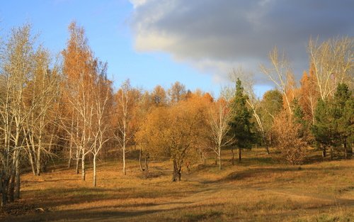 Осенняя прогулка.