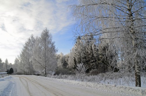 Посеребрило