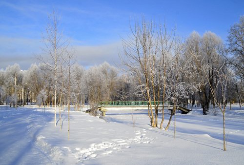 Январский день