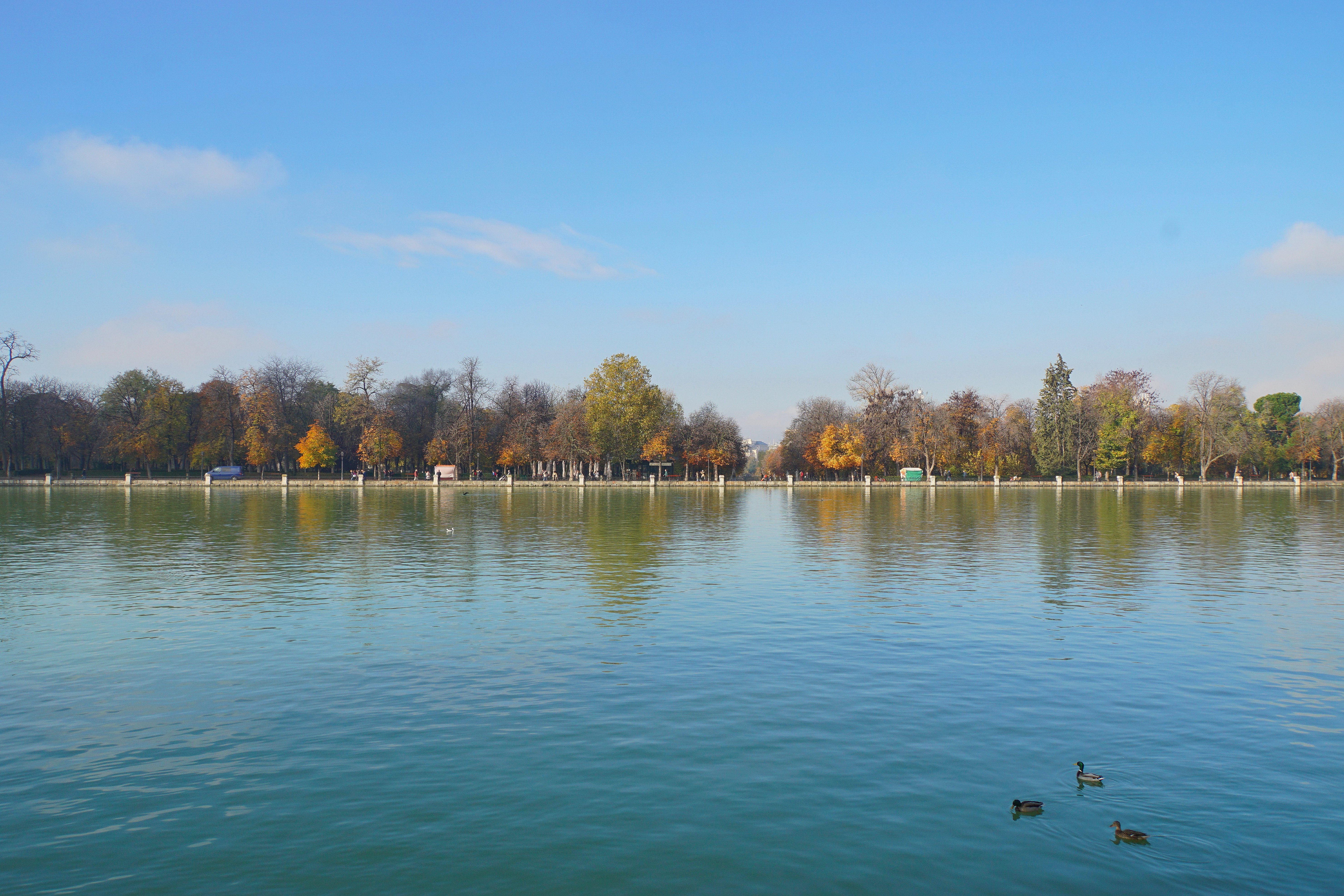 Пруд Майкоп. Чистый пруд большое Исаково. Retiro Park Lake.