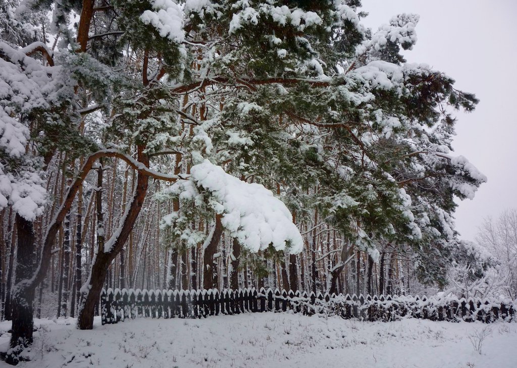 �������� ���� ����� � ����� ��������� ���������, �����������