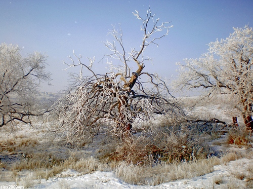 ФОТО ДНЯ