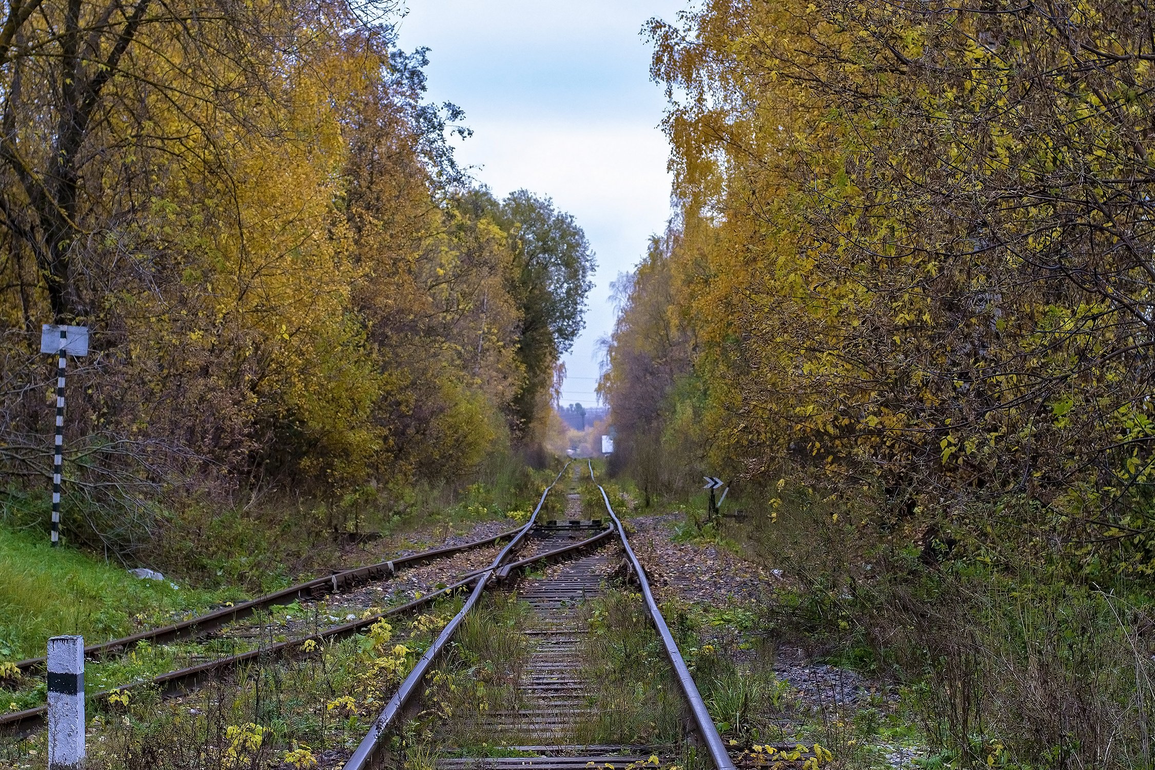 Осенняя Железная Дорога Фото