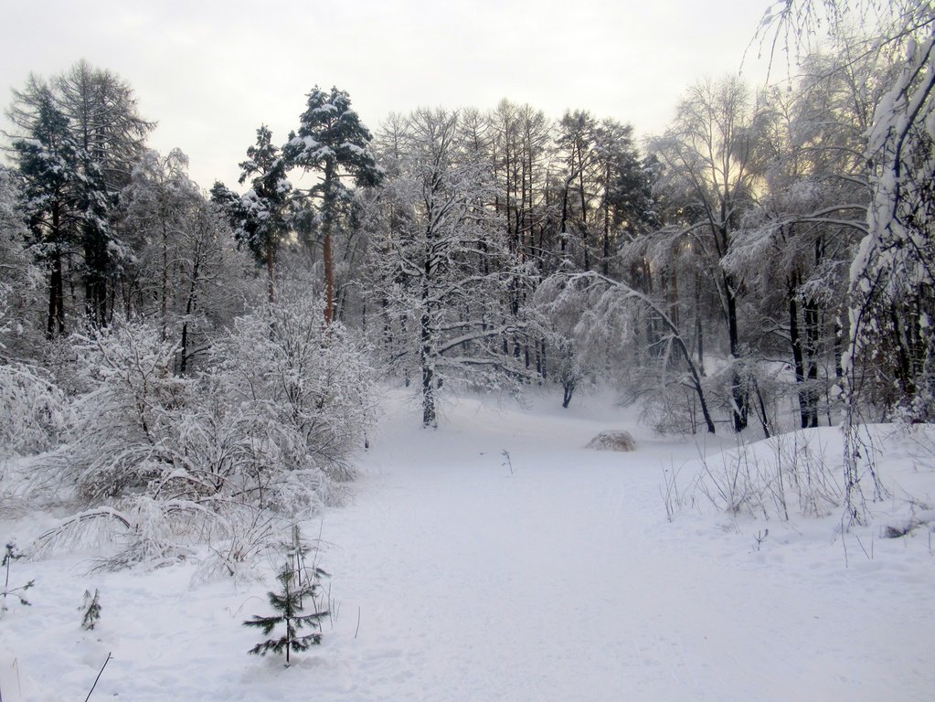 С  Новым годом!