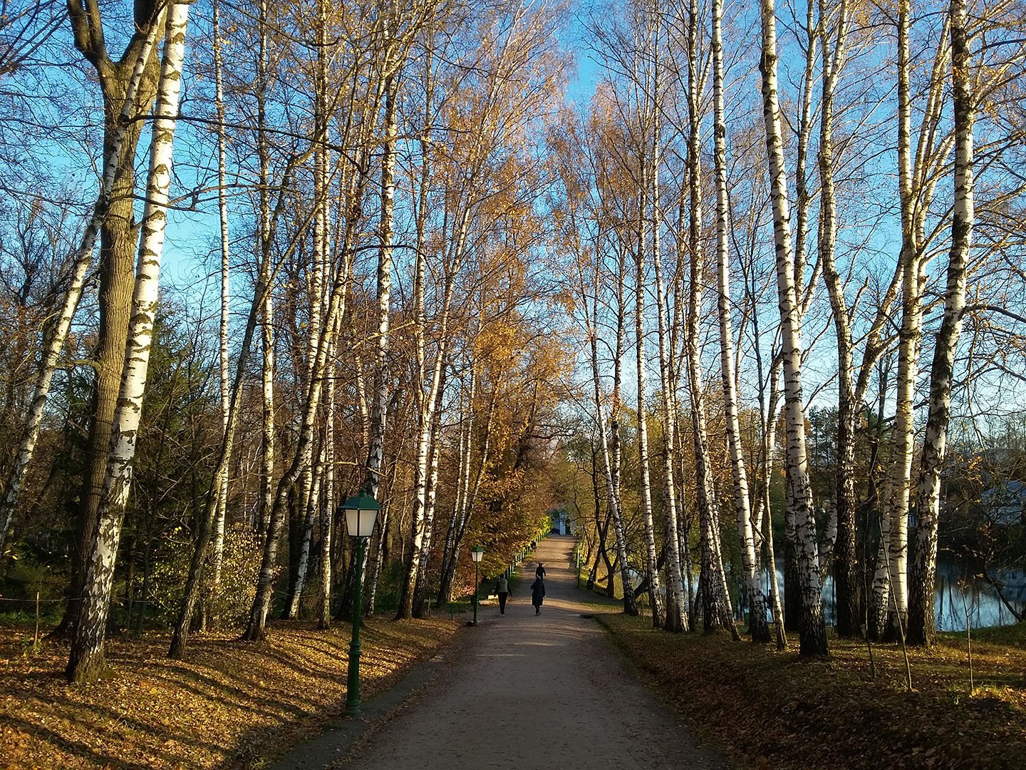 Ясная поляна омск фото