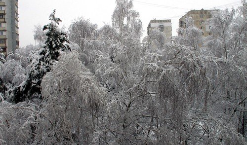 февральское утро