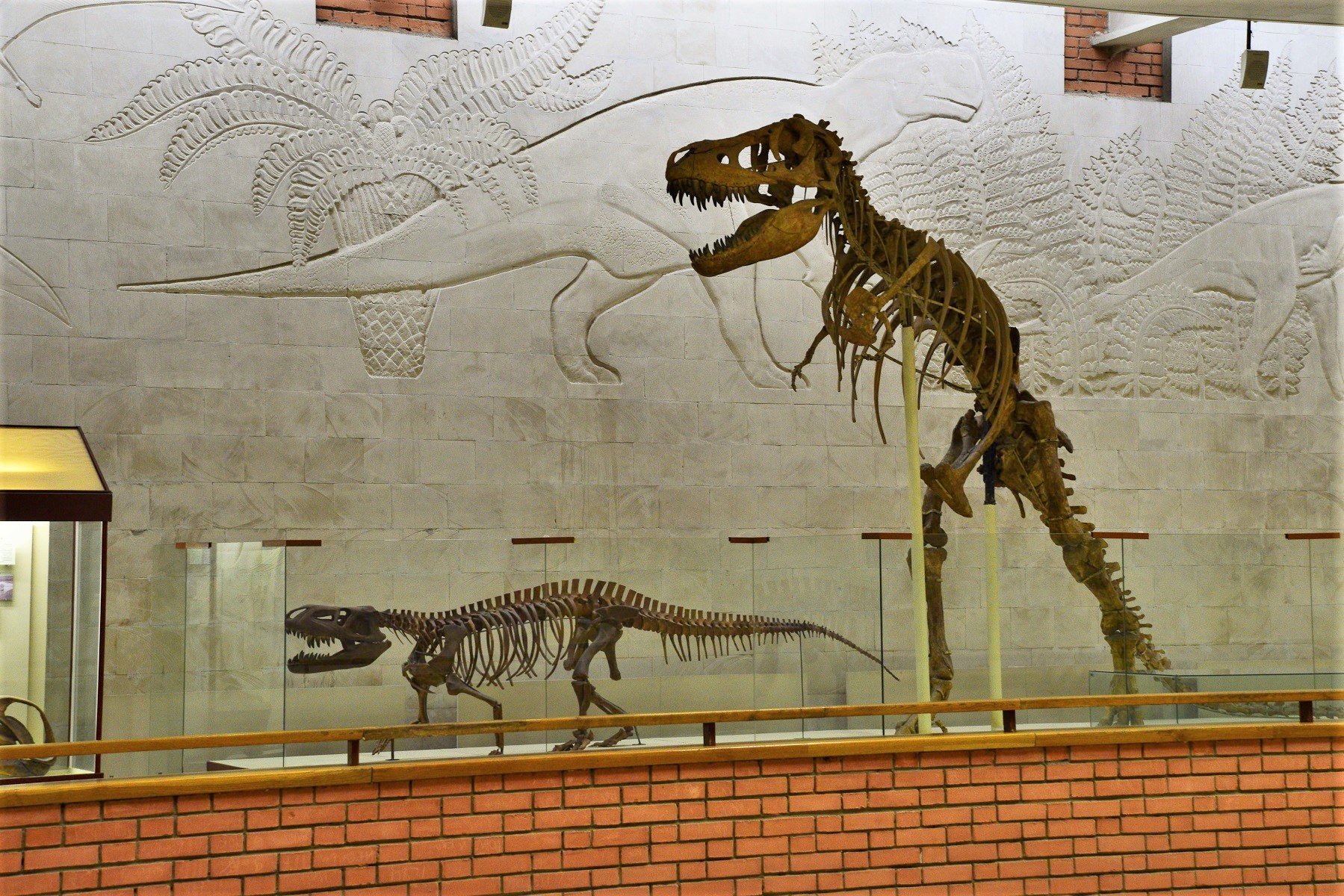 палеонтологический музей москва официальный сайт