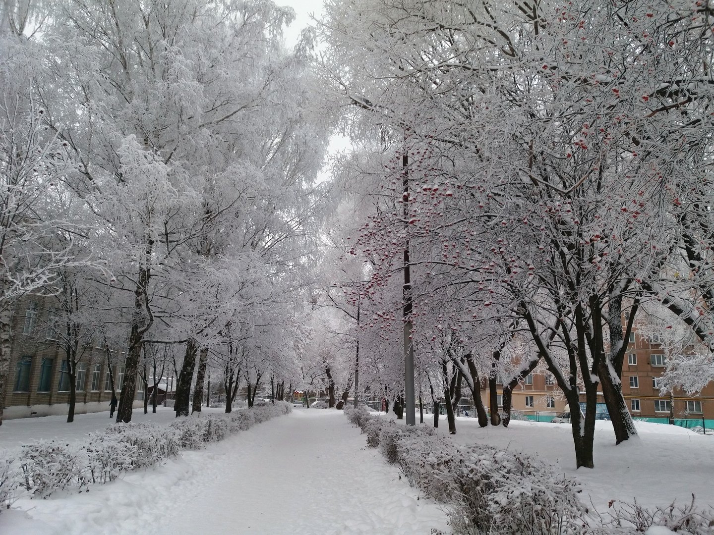 Просто зима фото. Зимний комментарий.