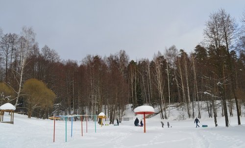 В зимнем парке...