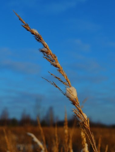 ЛУЧШИЕ ФОТОГРАФИИ