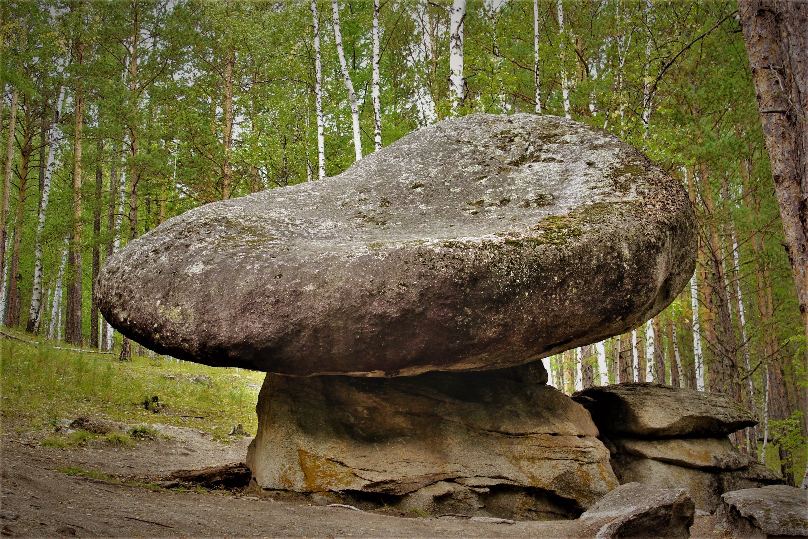Каменный гриб в Курджиново