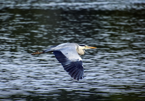 Над водой